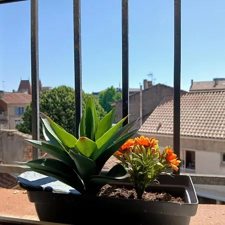 Joli En Centre Et Au Calme Agen